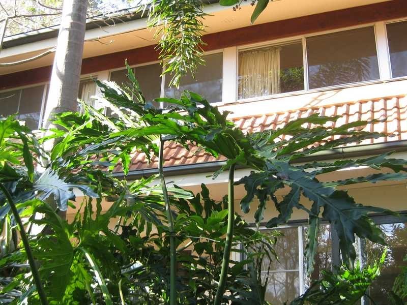 Chapel Hill QLD 4069