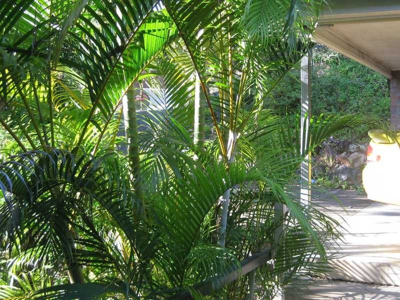 Chapel Hill QLD 4069