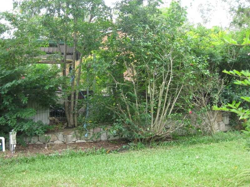 8 Boxthorn Street, Bellbowrie QLD 4070