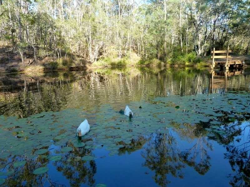 29 Dandys Court, Kholo QLD 4306