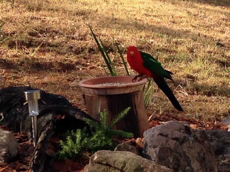 29 Dandys Court, Kholo QLD 4306