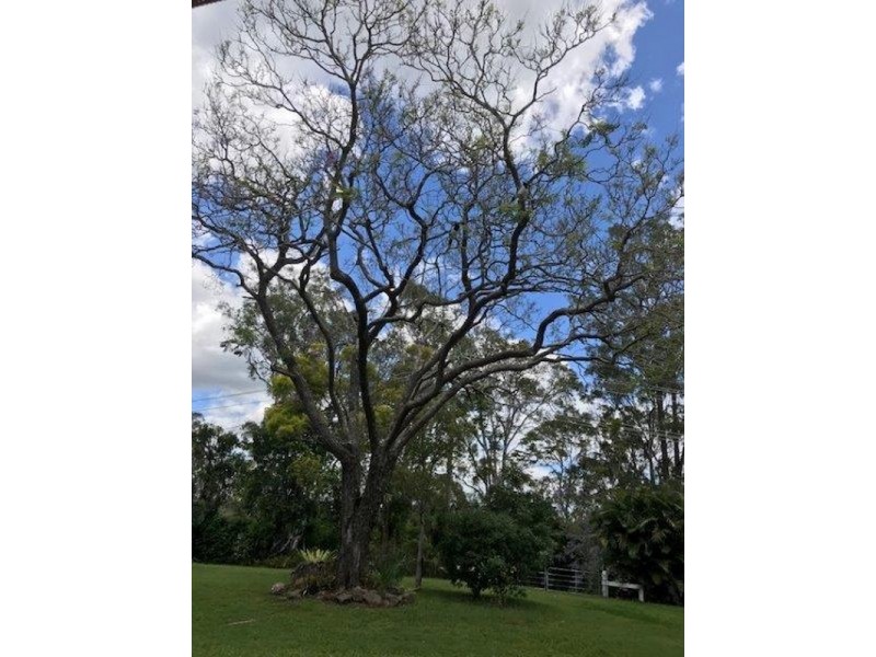 95 Haven Road, Pullenvale QLD 4069