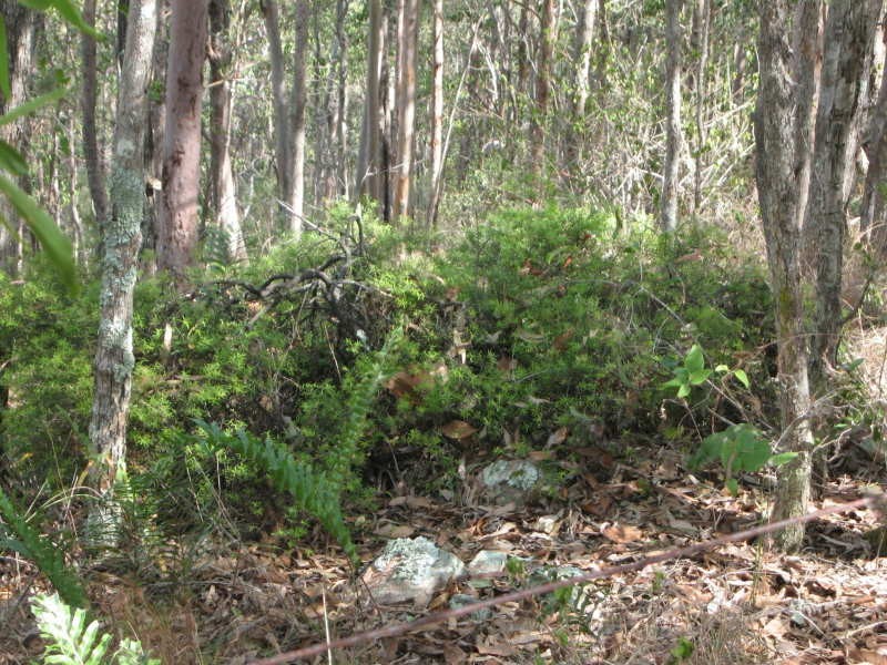 Upper Brookfield QLD 4069