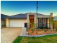 Griffin QLD 4503