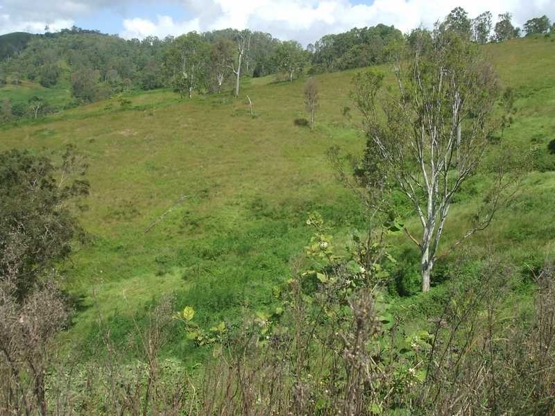 Delaneys Creek QLD 4514