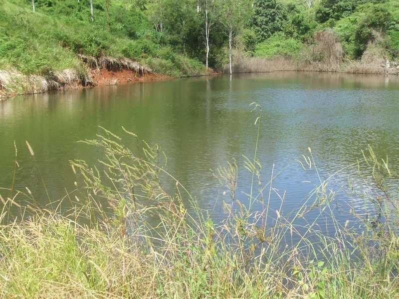 Lot 7/ Mervyn Cavanagh Court, Delaneys Creek QLD 4514