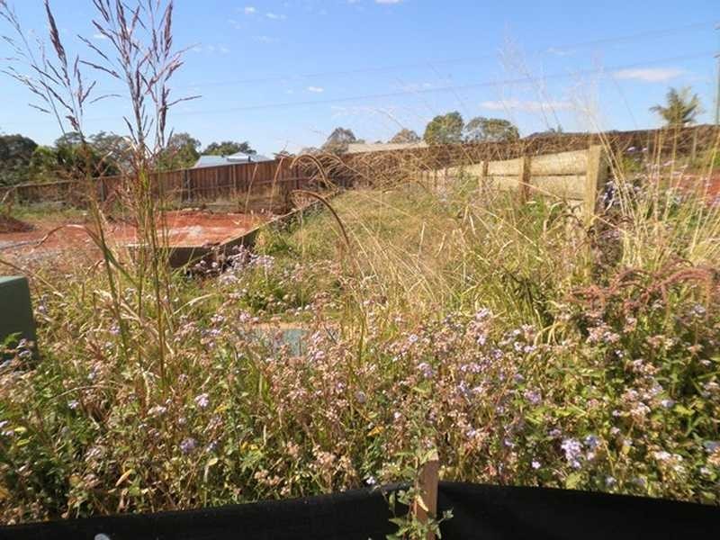 71 Willowleaf Circuit, Upper Caboolture QLD 4510