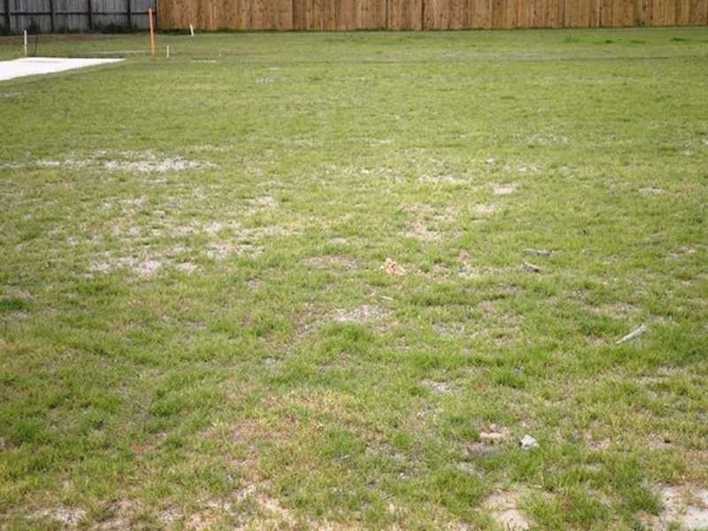 Lot/11 CHALLENOR STREET, Caboolture QLD 4510