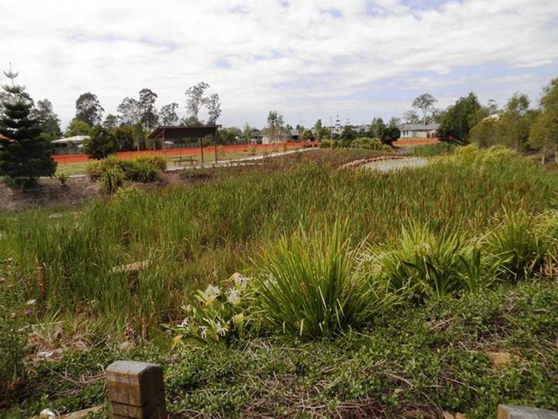 53 Piggott Road, Bellmere QLD 4510