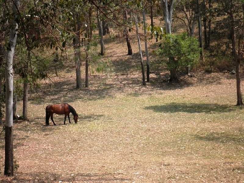 52 Whiteside Road, Whiteside QLD 4503