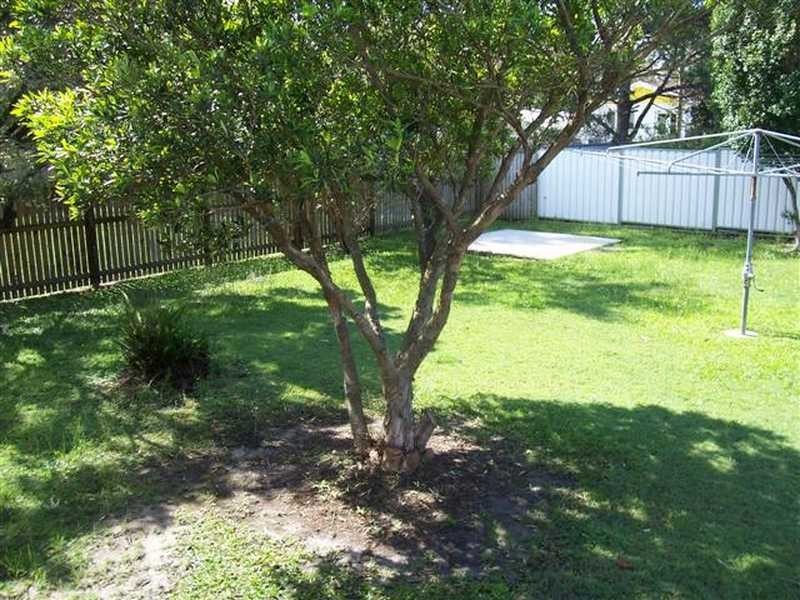 28 Musgrave Street, Kippa-ring QLD 4021