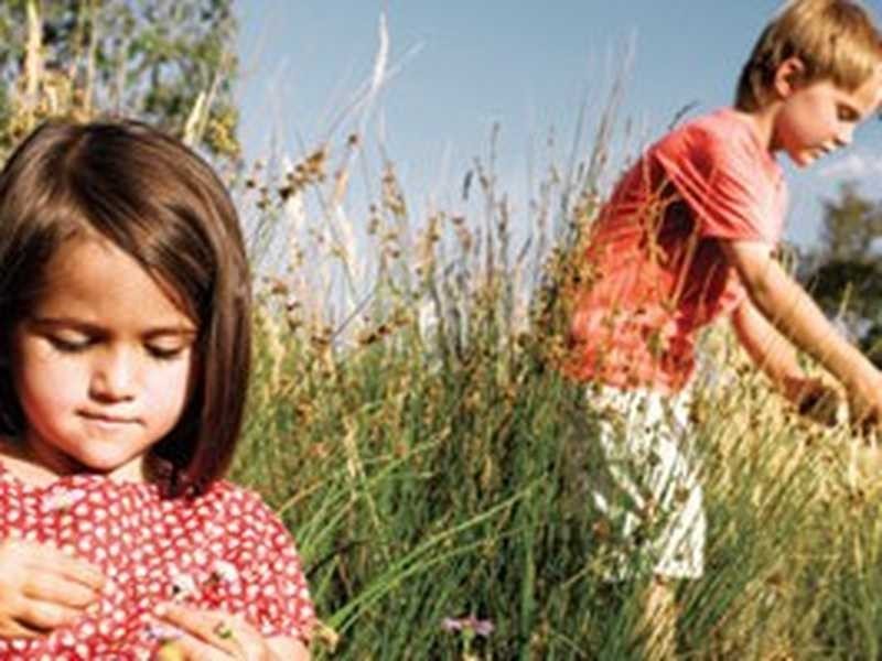 Lot 247 Nutmeg Drive, Griffin QLD 4503