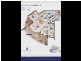 Unit 301/14 Oxley Avenue, Woody Point QLD 4019