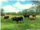 Woodford QLD 4514