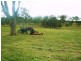 Woodford QLD 4514