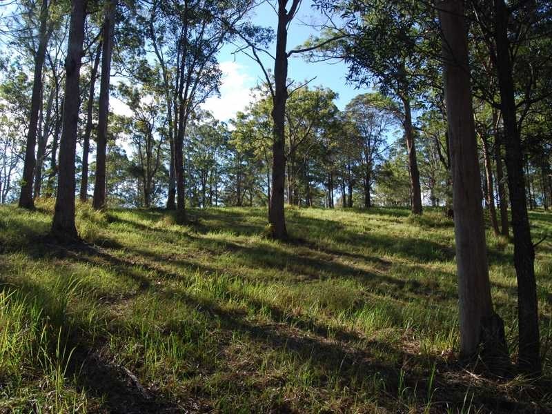 22 Dean Drive, Ocean View QLD 4521