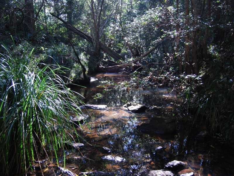 22 Dean Drive, Ocean View QLD 4521