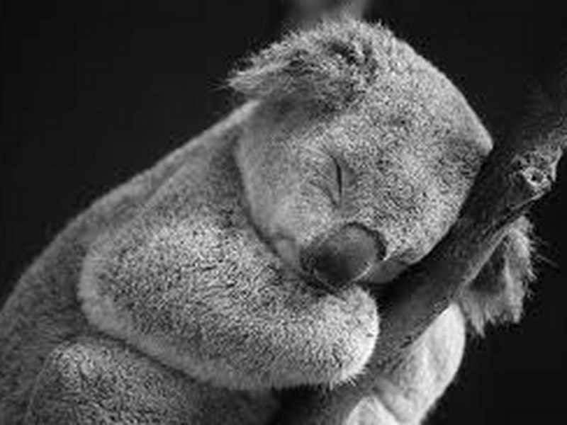 71 Old Gympie Rd, Kallangur QLD 4503