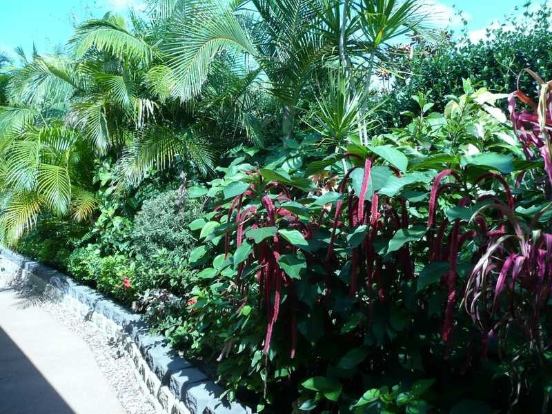 80 Copeland Drive, North Lakes QLD 4509