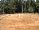 Lot 242/ Ningi Waters Drive, Ningi QLD 4511