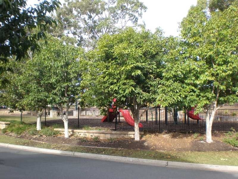 4 Pampling Court, North Lakes QLD 4509