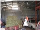 Saumarez NSW 2350