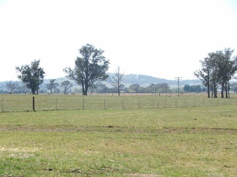 Saumarez NSW 2350