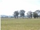 Saumarez NSW 2350