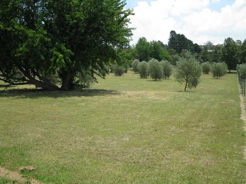 31-33 Braund Street, Armidale NSW 2350