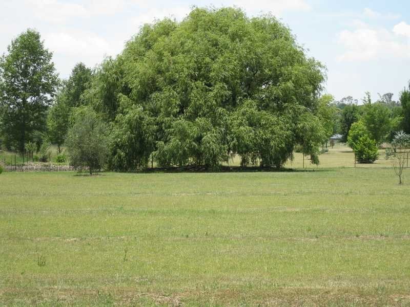 31-33 Braund Street, Armidale NSW 2350