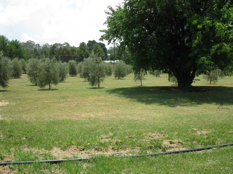 35-37 Braund Street, Armidale NSW 2350