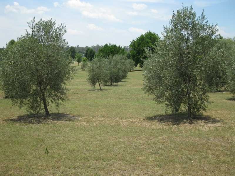 35-37 Braund Street, Armidale NSW 2350