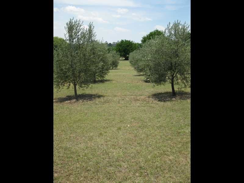 35-37 Braund Street, Armidale NSW 2350