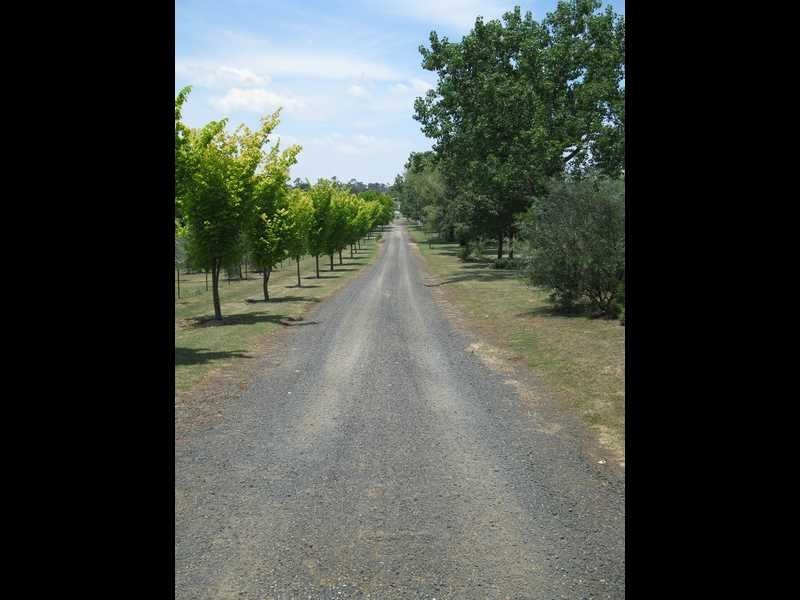 39 Braund Street, Armidale NSW 2350