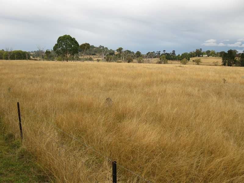 Armidale NSW 2350
