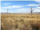Uralla NSW 2358