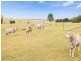 Uralla NSW 2358