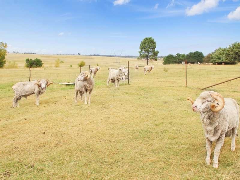 Uralla NSW 2358