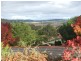 Armidale NSW 2350