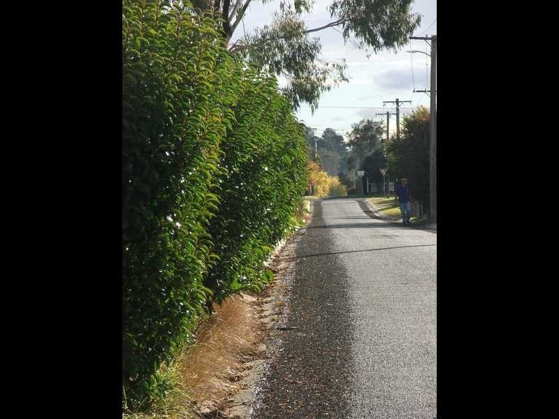 88 Ohio, Armidale NSW 2350