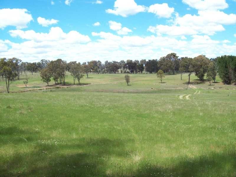Armidale NSW 2350