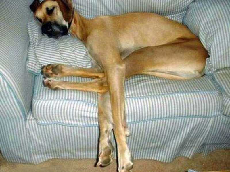 6.6 property managment, Armidale NSW 2350