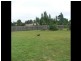 Armidale NSW 2350