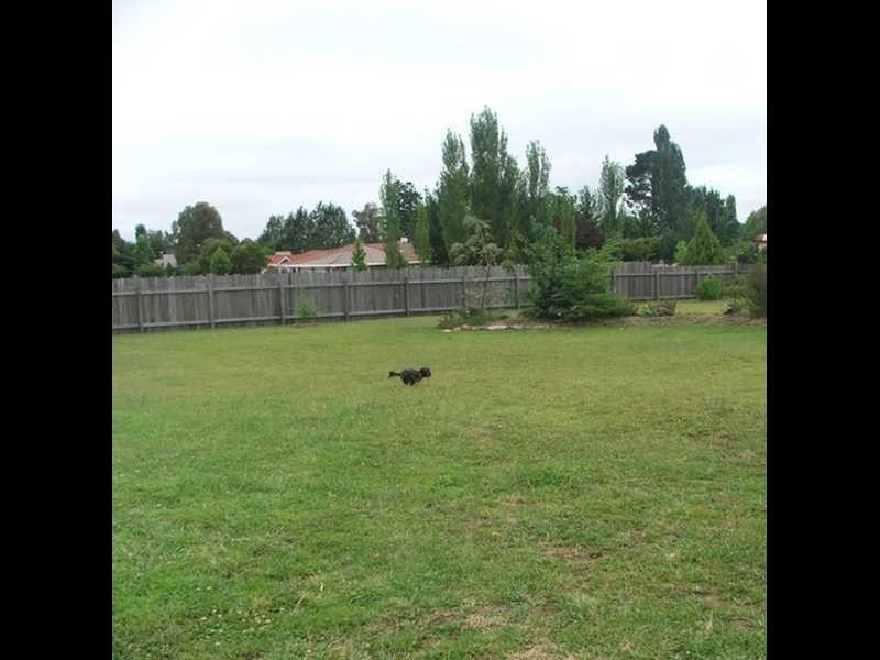 Armidale NSW 2350