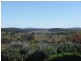 Black Mountain NSW 2365