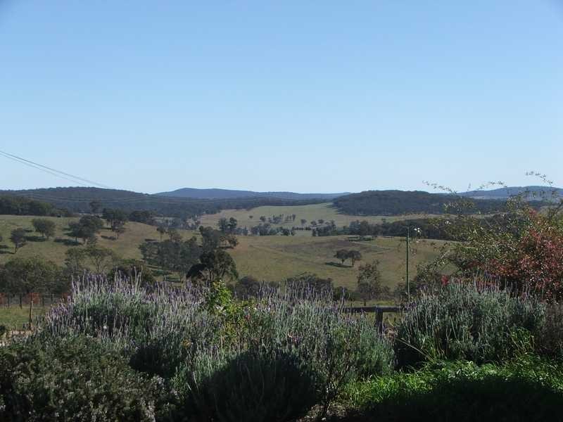 Black Mountain NSW 2365