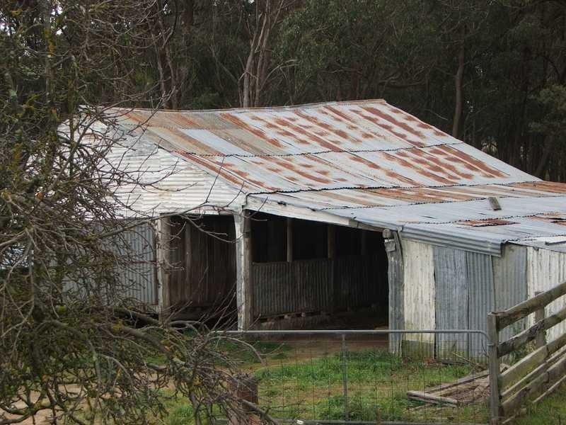 Black Mountain NSW 2365