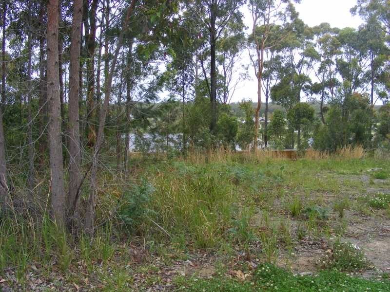 Medowie NSW 2318
