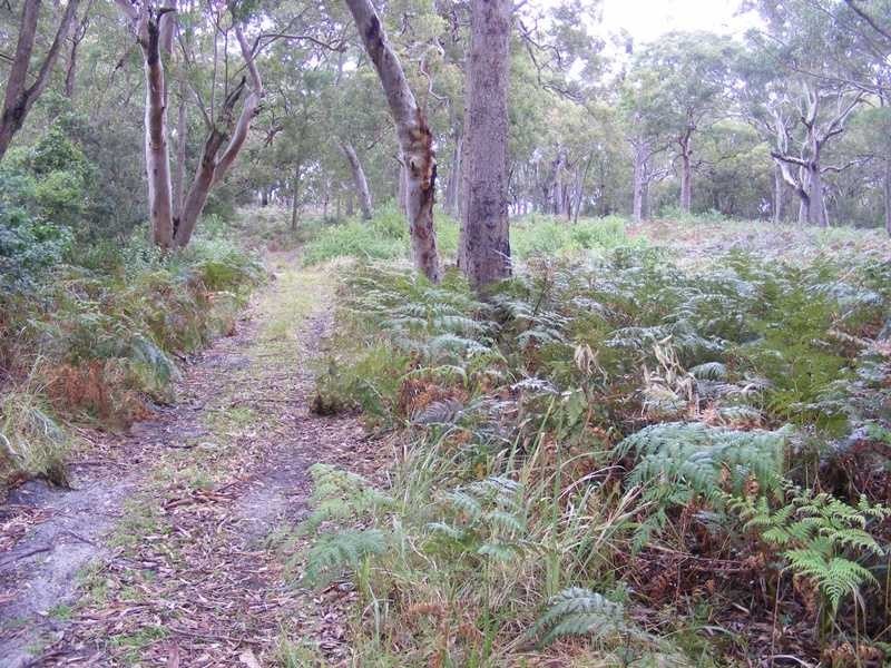 Anna Bay NSW 2316