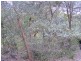 Anna Bay NSW 2316